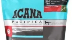 Може ли возрасните мачки да даваат храна за мачиња